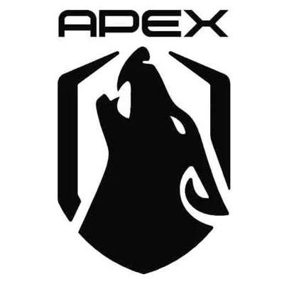 Apex Designs